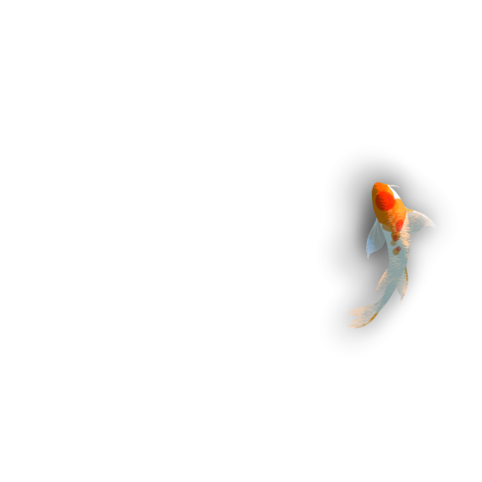 koi